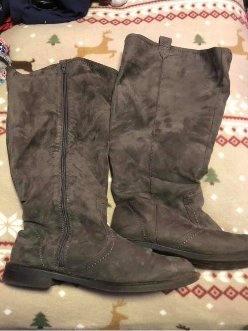 torrid wide calf Gray Suede Over-the-Knee Riding Boots